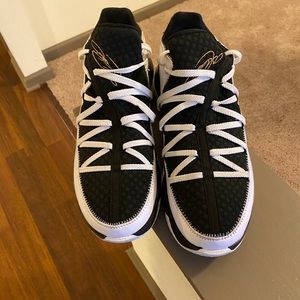 LeBron 17 low